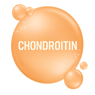 Condroitina